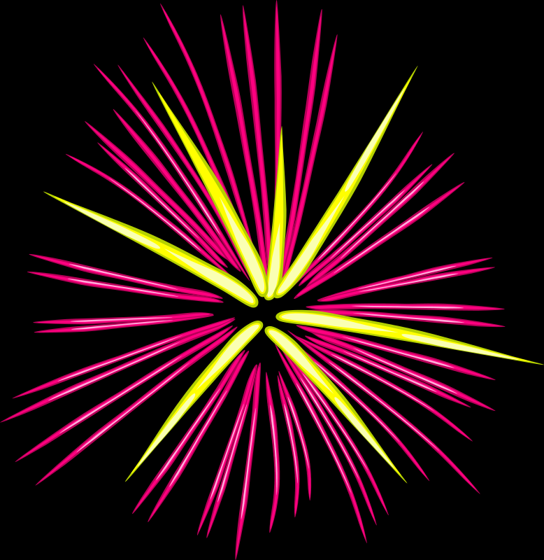 Pink Fireworks