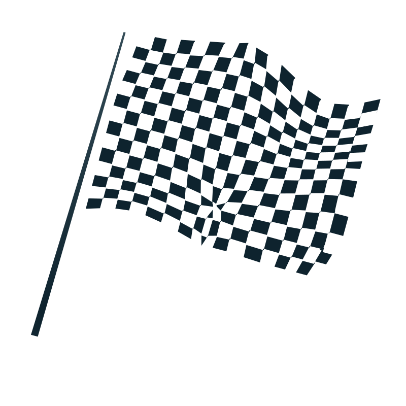 chequered flag icon