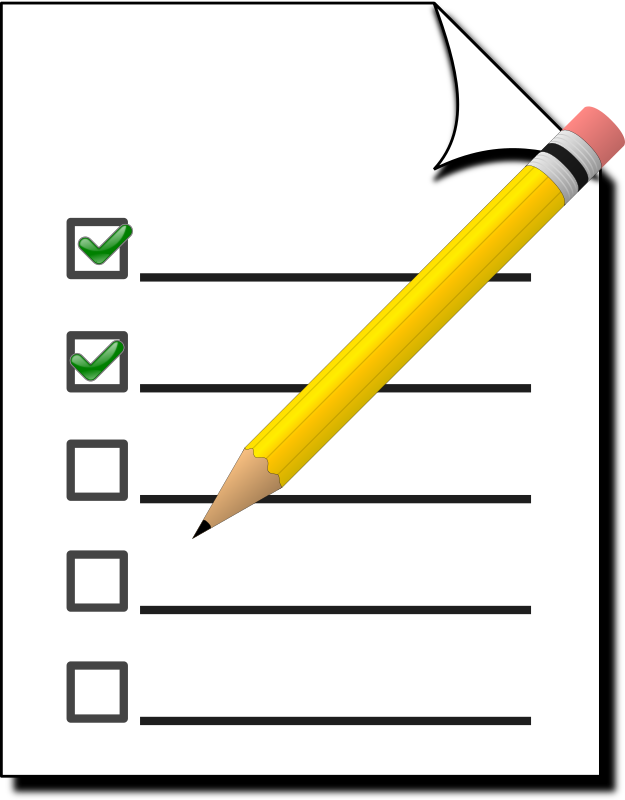 Survey Icon