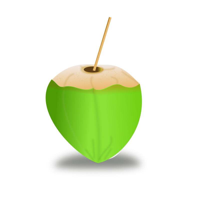 coconut icon