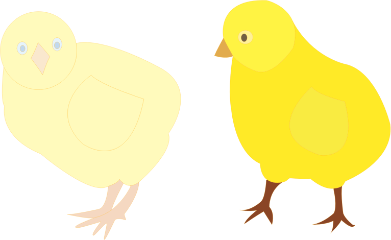 chicks-figure-color
