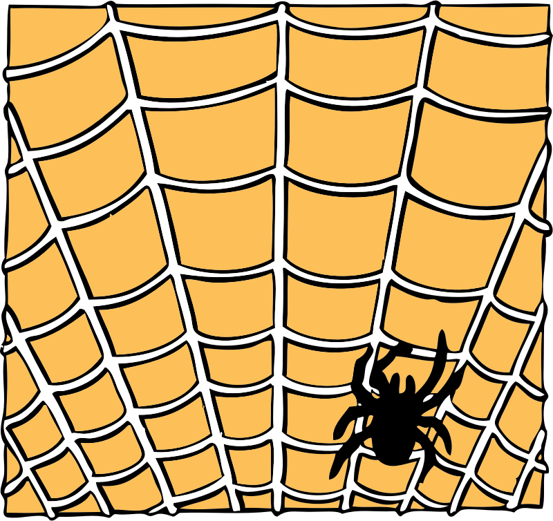 spider on a spider web