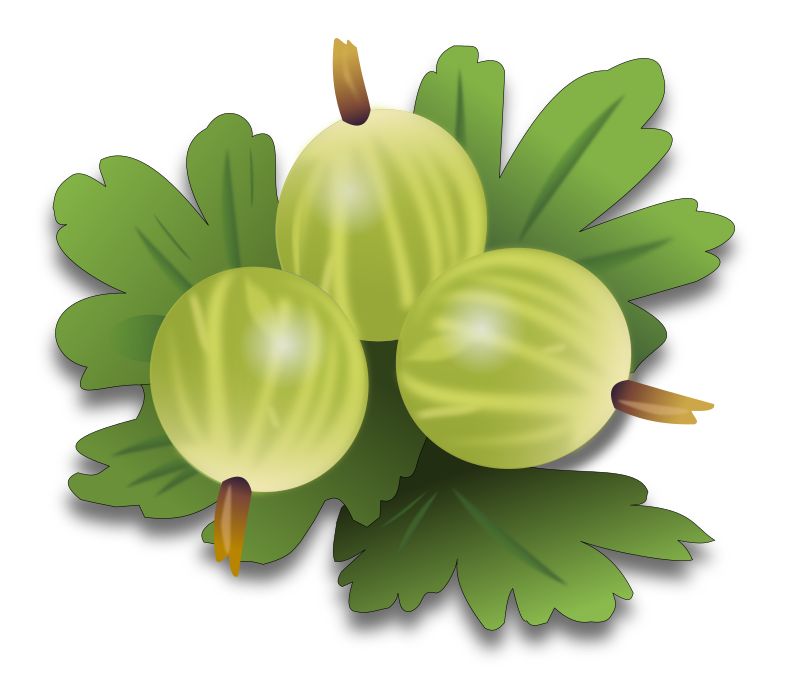 green gooseberrys