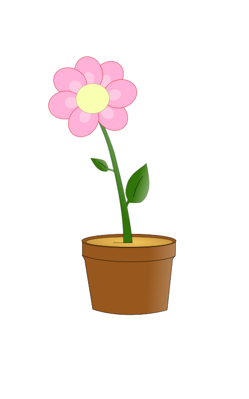 Blumentopf