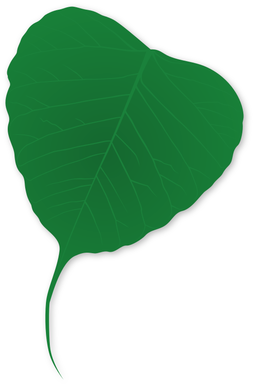 Ginko leaf