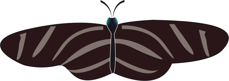 butterfly zebra long wing