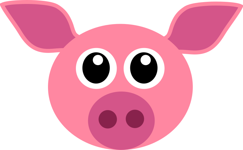 Cochon - pig face