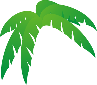 Palm Tree Leaves
