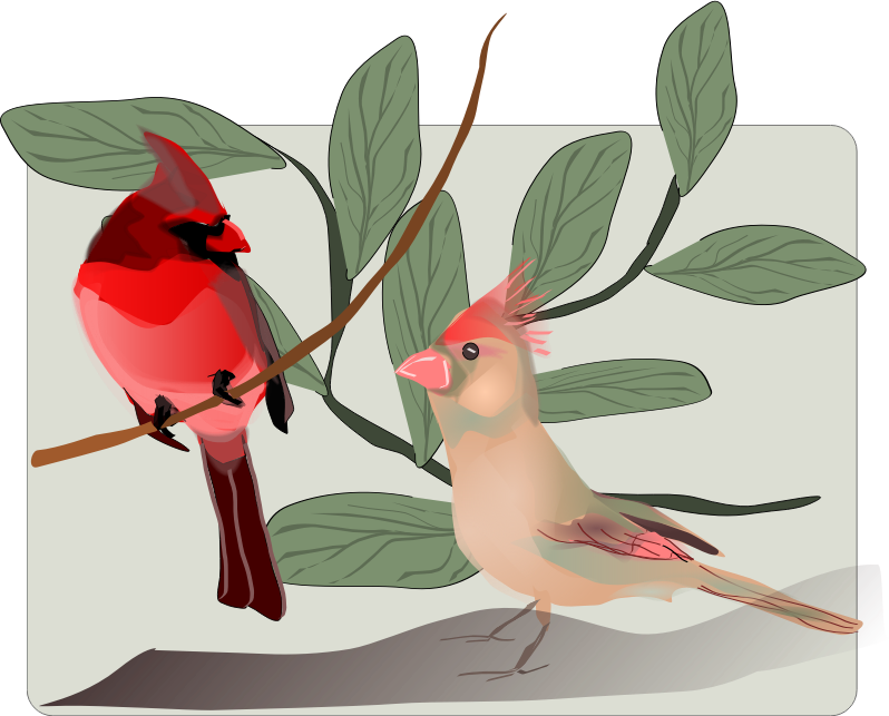 Two Birds Background