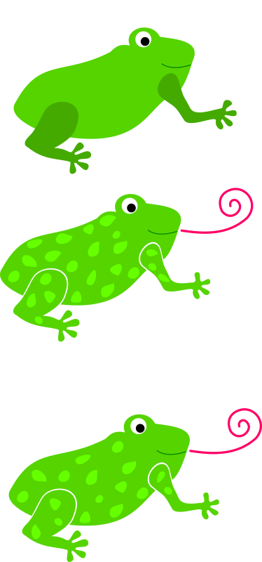 frog, granota, grenouille