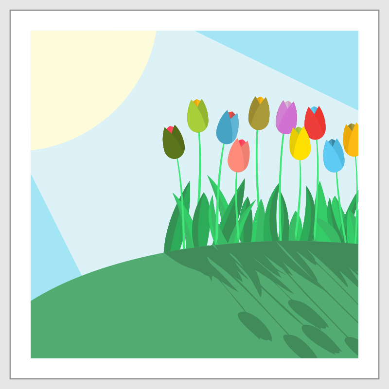 Tulips on a Hill