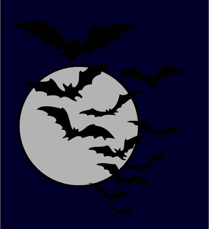 Bat night