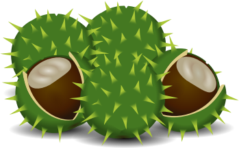 A couple of chestnuts