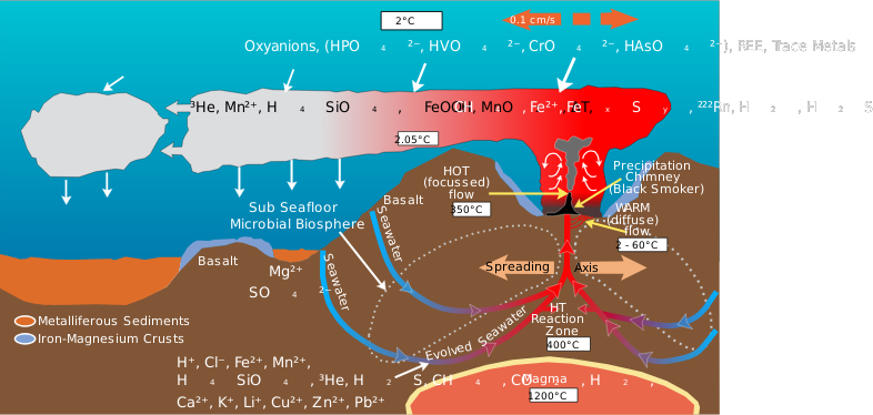 Deep Sea Vent Chemistry Diagram