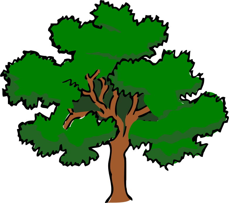 Oak Tree redux