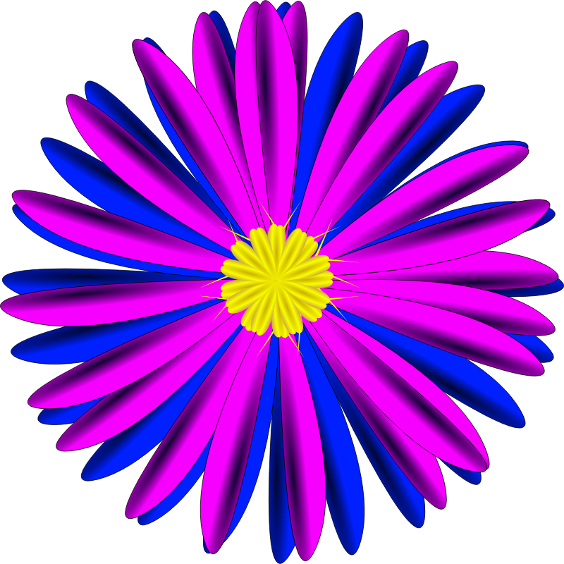 Pink and Blue Flower