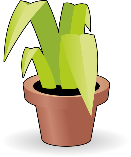 Flower in a pot