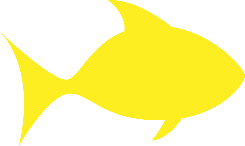 A Yellow Fish