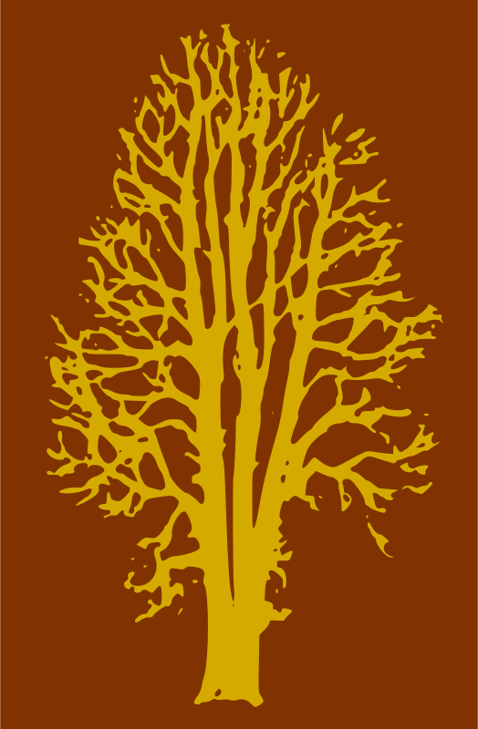 Beech Tree - 2 Colours