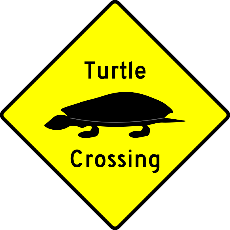 Caution - Turtle Crossing