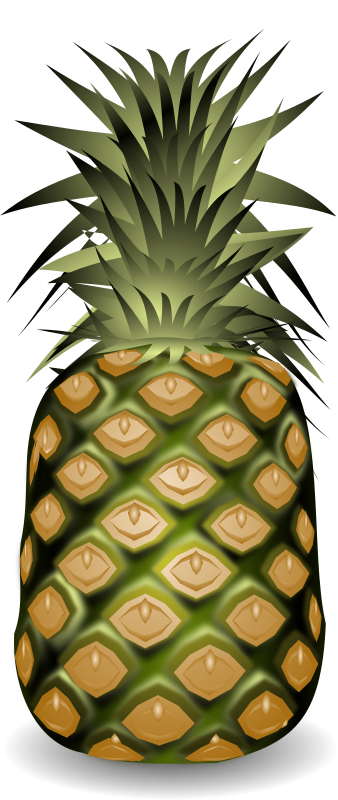 pineapple ananasas