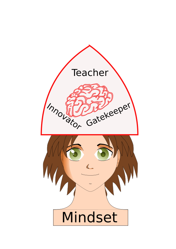 Teacher Mindset - Innovator Gatekeeper
