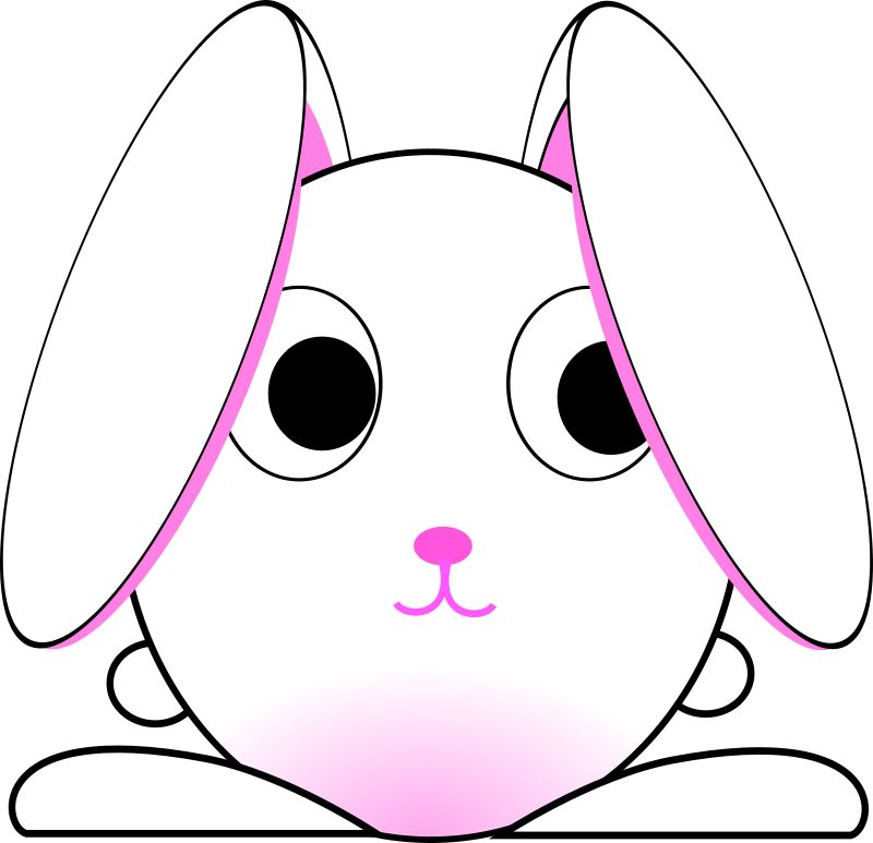 Chinese zodiac rabbit