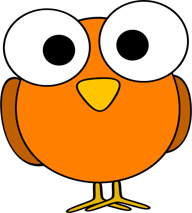 Orange googley-eye bird