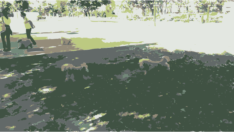 Dogs Walking in Park