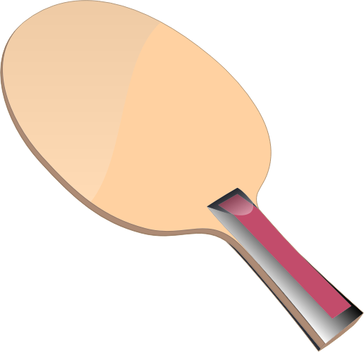 Ping Pong bat