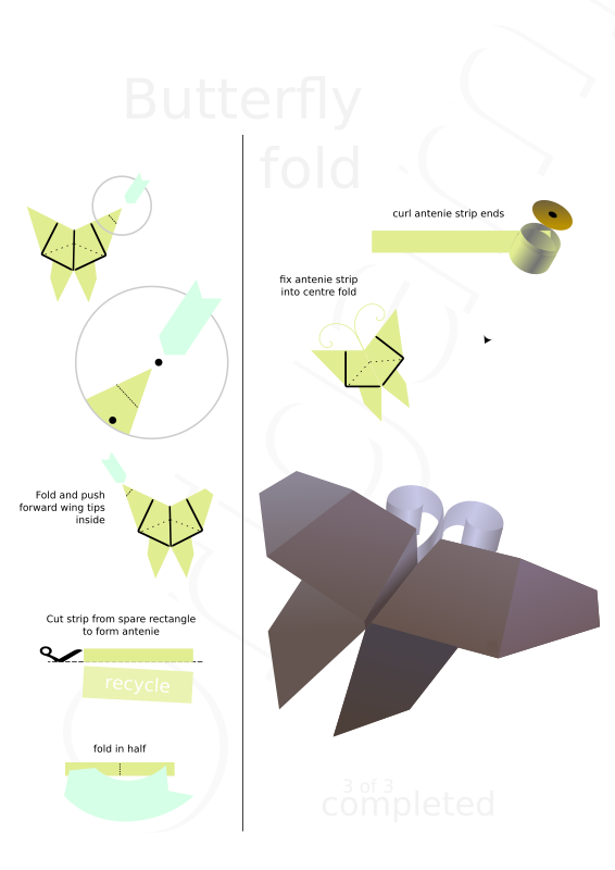 Butterfly Fold part 03