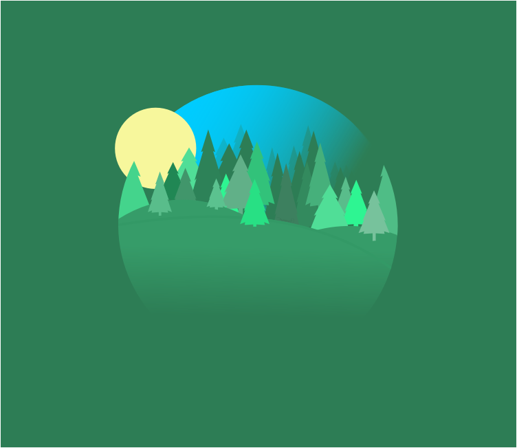 A Daytime Forest Scene with Trees that is Round