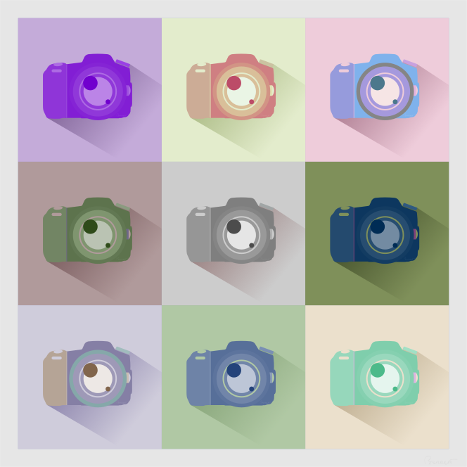 SLR Digital Camera Icons Inverted Color Study