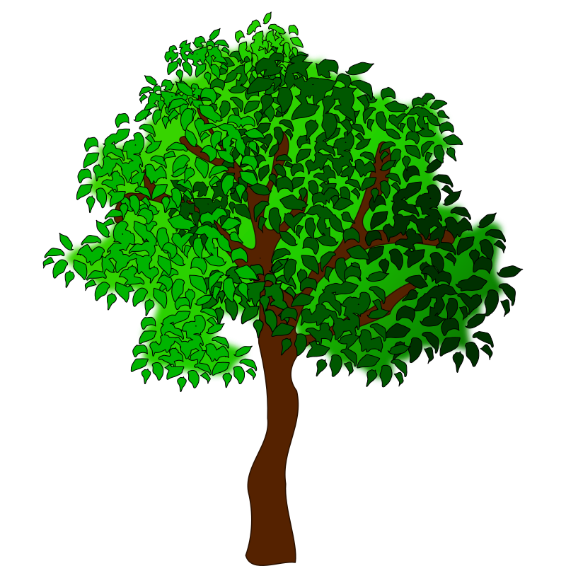 tree-17