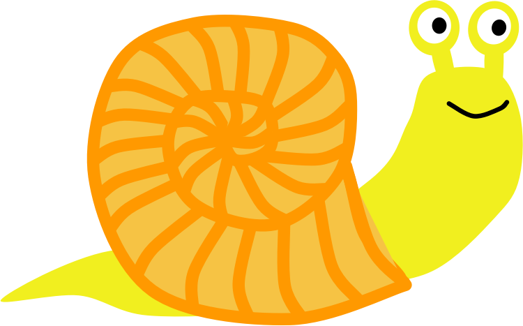 Snail Orange