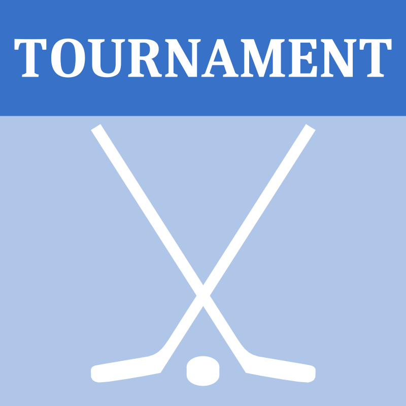 Hockey Tournament Icon