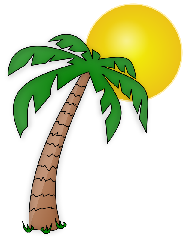 Palmier et soleil