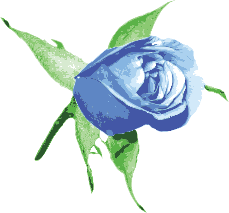 Raseone Rose Blue