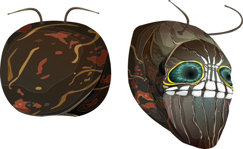 Avatar Wardrobe Hat Caterpillar Mask 01