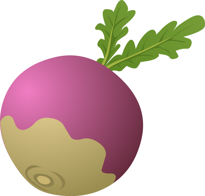 Food Turnip