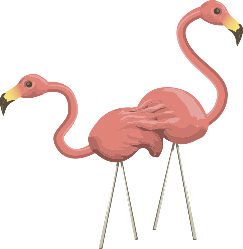 Inhabitants Npc Flamingo