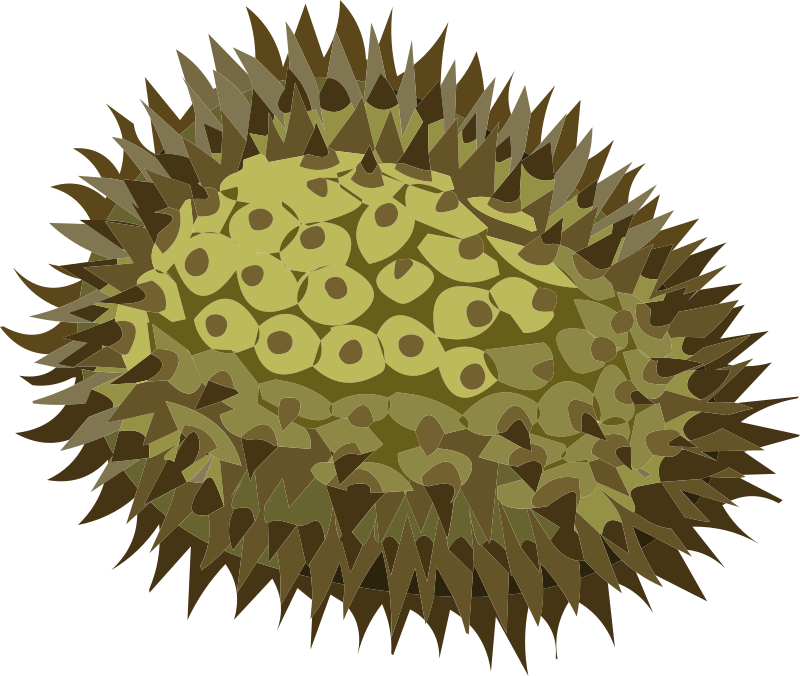 Misc Durian