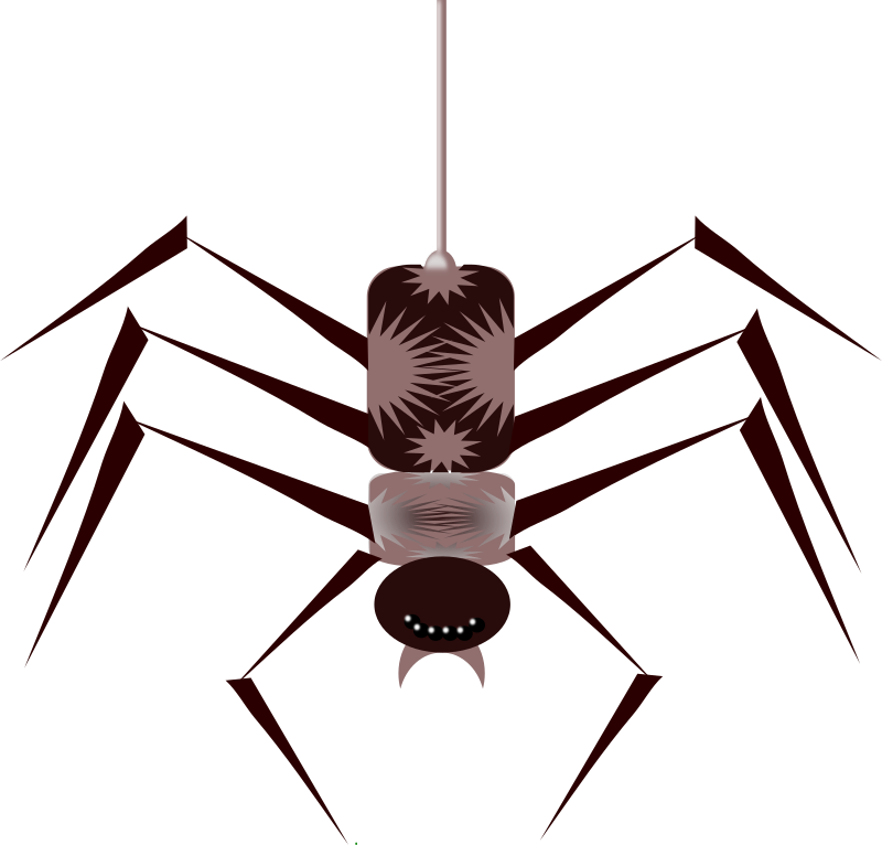 spider-vecto