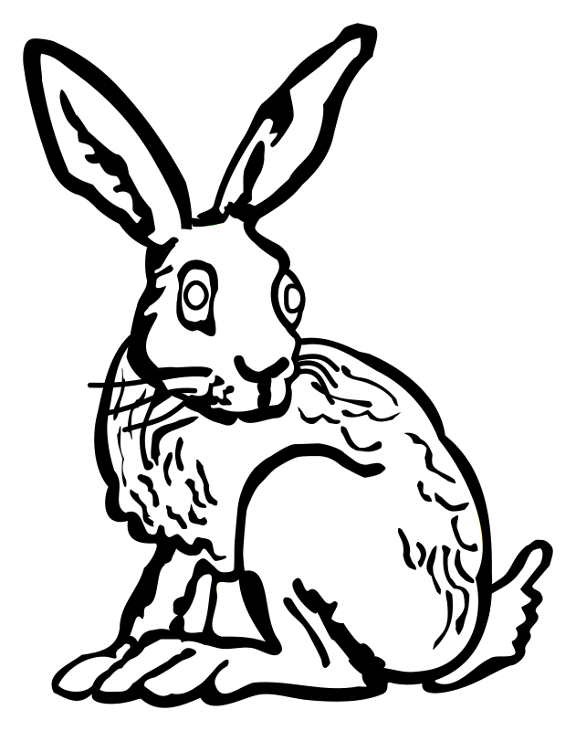 hare - lineart