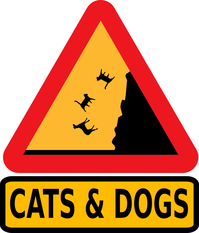 Falling cats and dogs