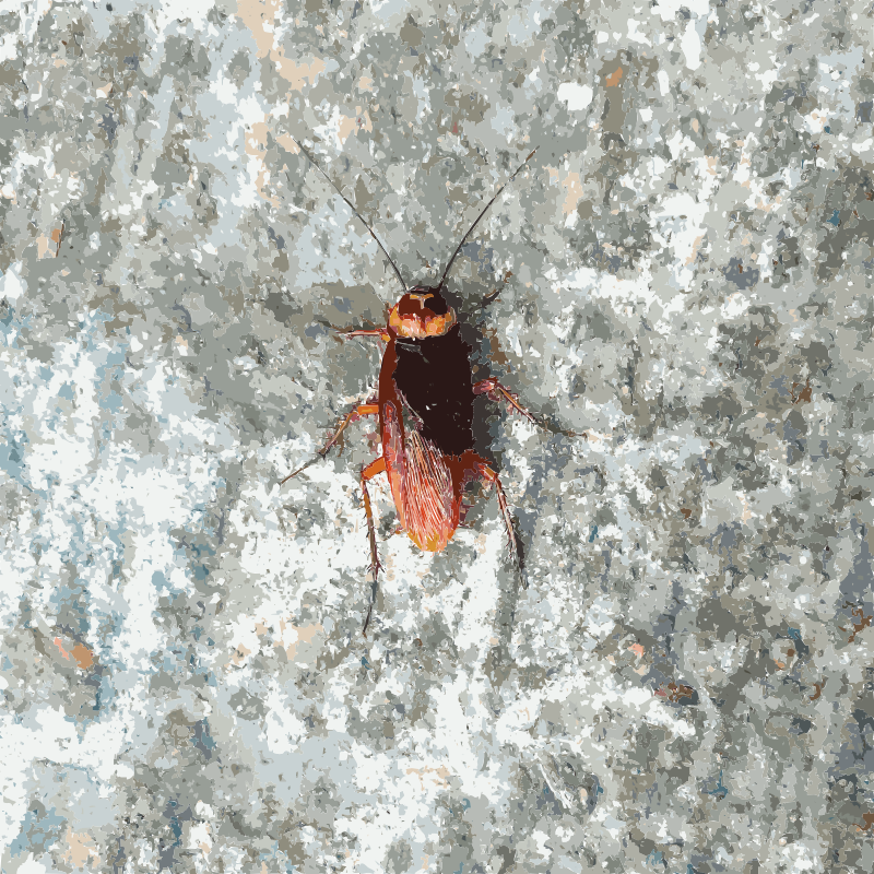 Hong Kong Bug