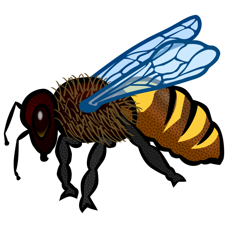 Bee (colour)