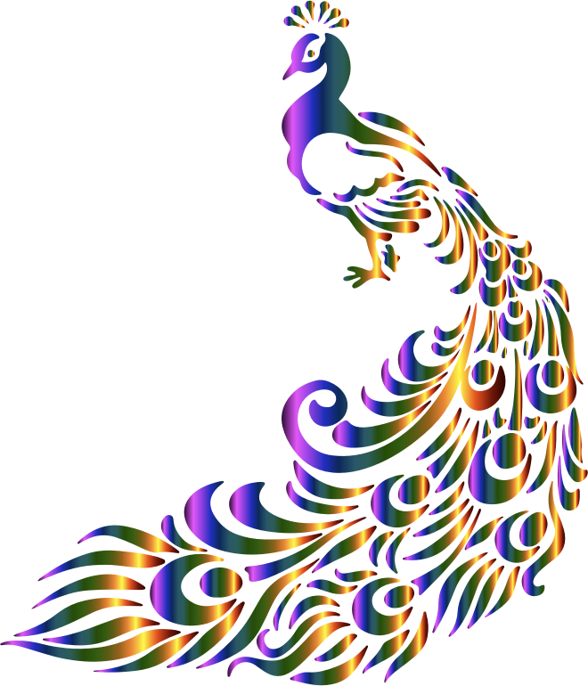 Colorful Peacock
