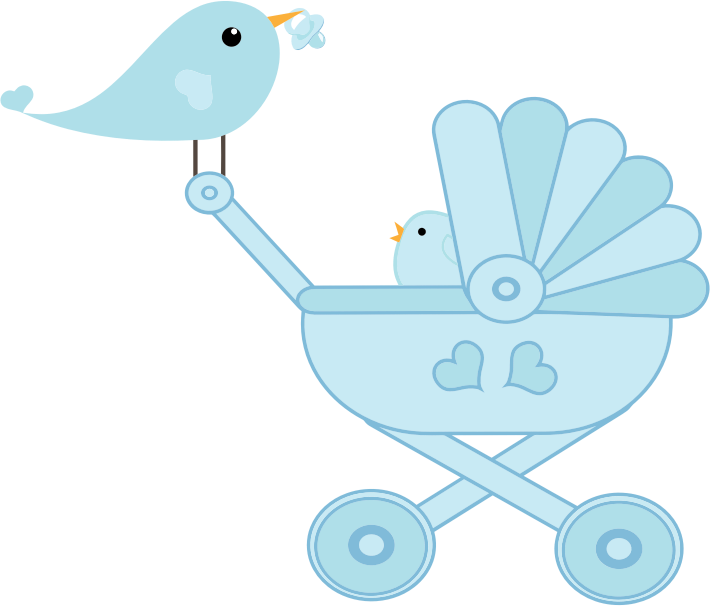 Baby Bird Stroller