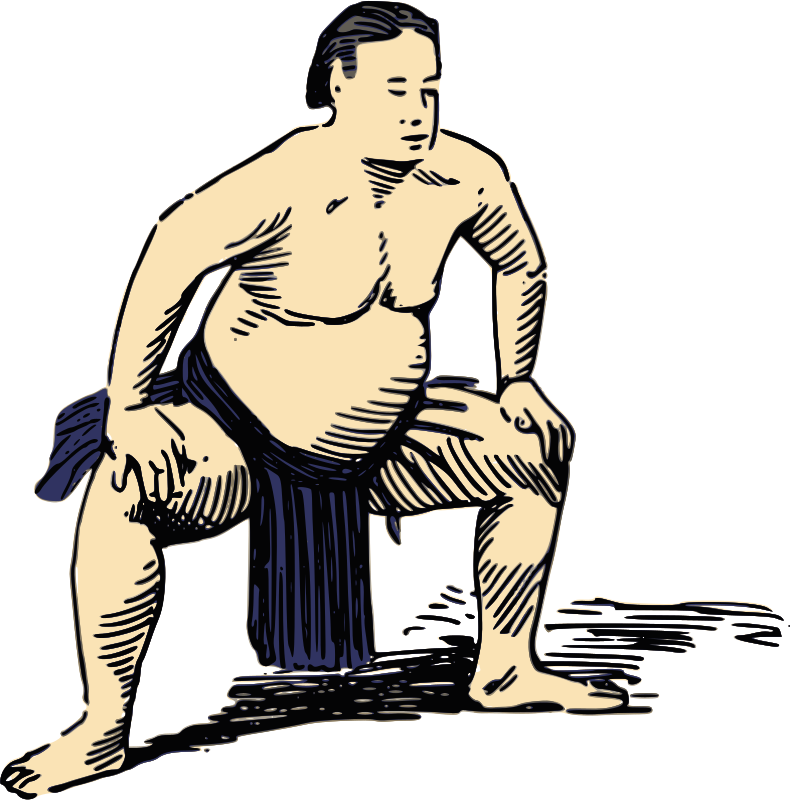 Sumo wrestler 2